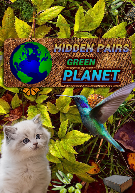 Hidden Pairs: Green Planet